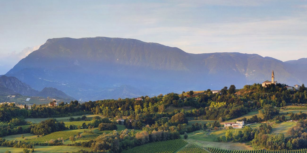 Gallery image 2 for Frassinelli