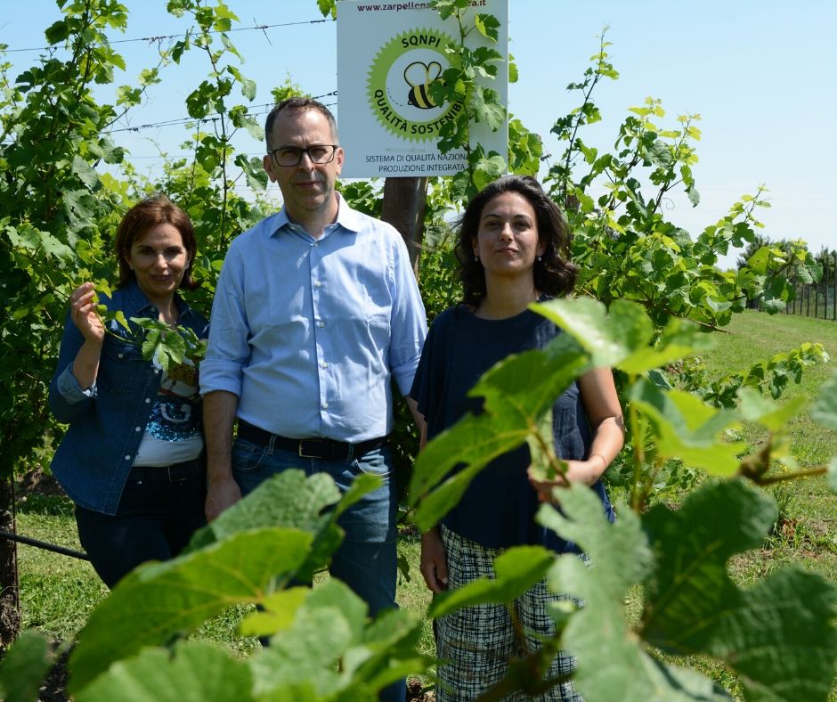 Gallery image 3 for Frassinelli