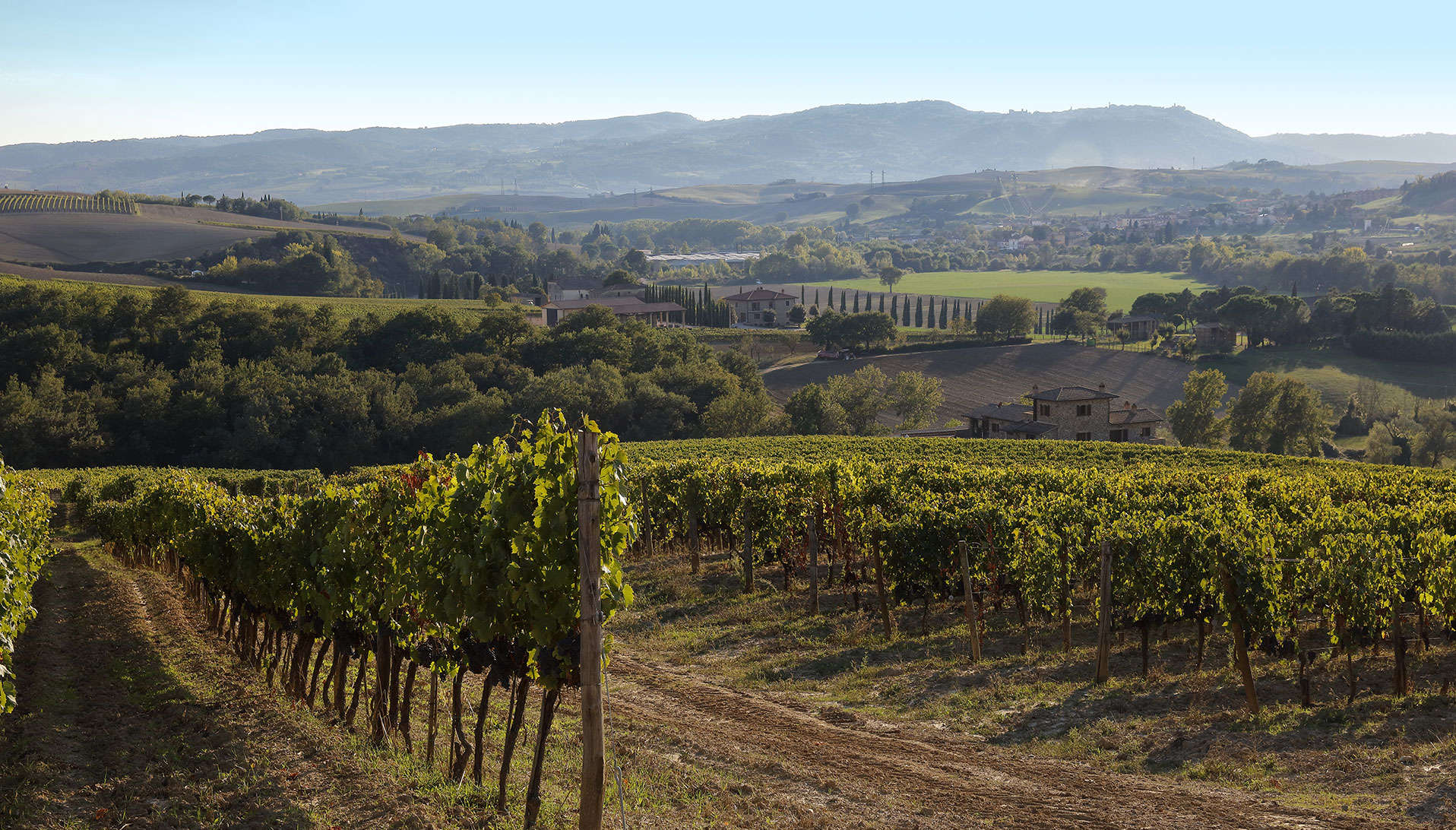 Gallery image 1 for Sasso di Sole