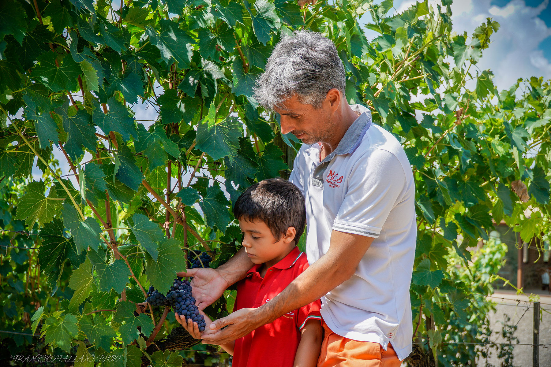 Gallery image 10 for Sasso di Sole