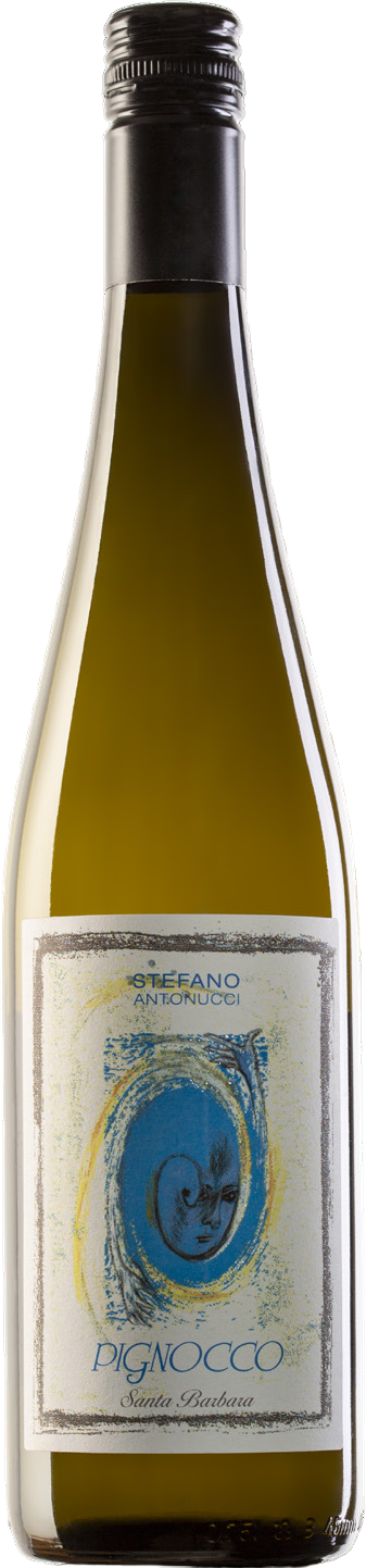 Bottle of Santa Barbara Pignocco Verdicchio dei Castelli di Jesi 2024
