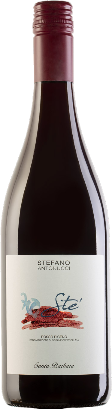 Bottle of Santa Barbara Rosso Piceno Ste' DOC 2024