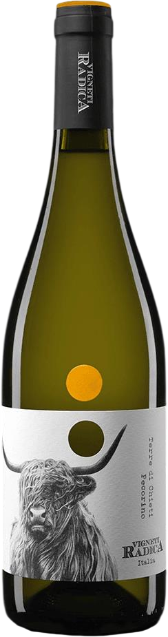 Bottle of Vigneti Radica Pecorino Terre d’Abruzzo 2024