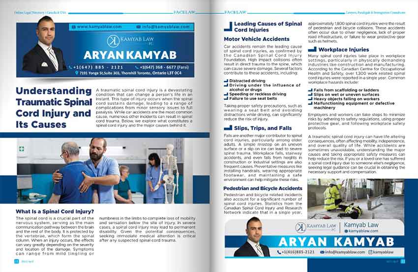 Understanding Traumatic Spinal Cord Injury and Its Causes