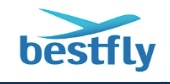 BESTFLY FLIGHT SUPPORT