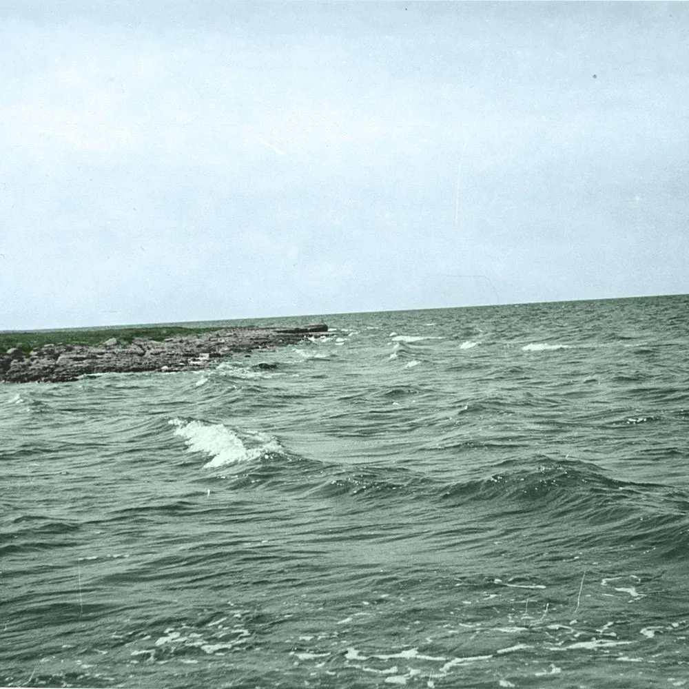 Album "Kalurmees" artwork