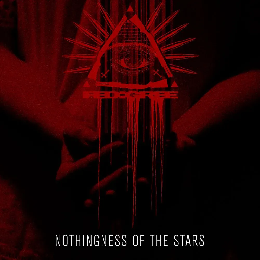 Album "Nothingness of the Stars" artwork