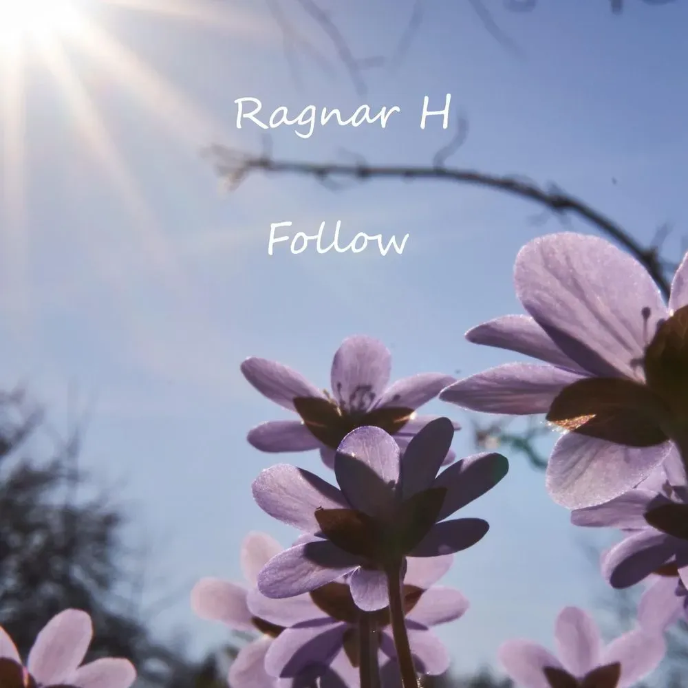 Album "Follow" artwork