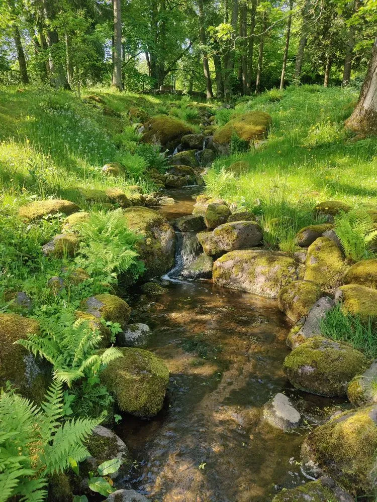 Album "Allikas" artwork