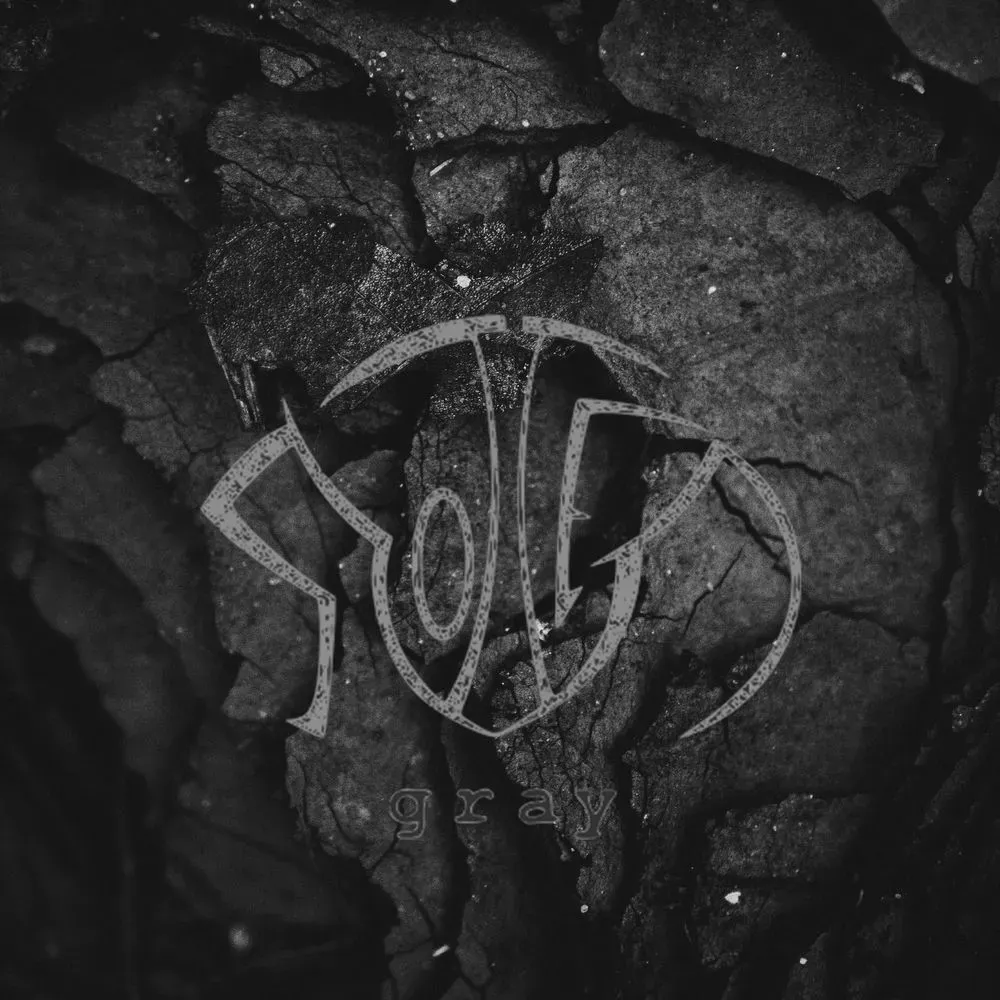 Album "Mental detector" artwork