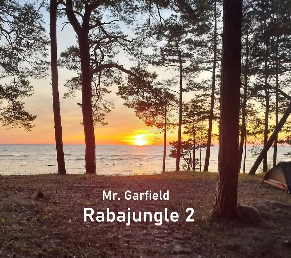 Album "Rabajungle 2" artwork