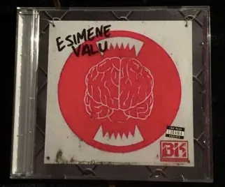 Album "Esimene Valu" artwork