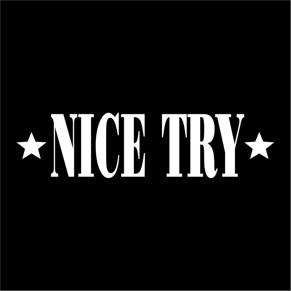 Album "Nice Try" artwork