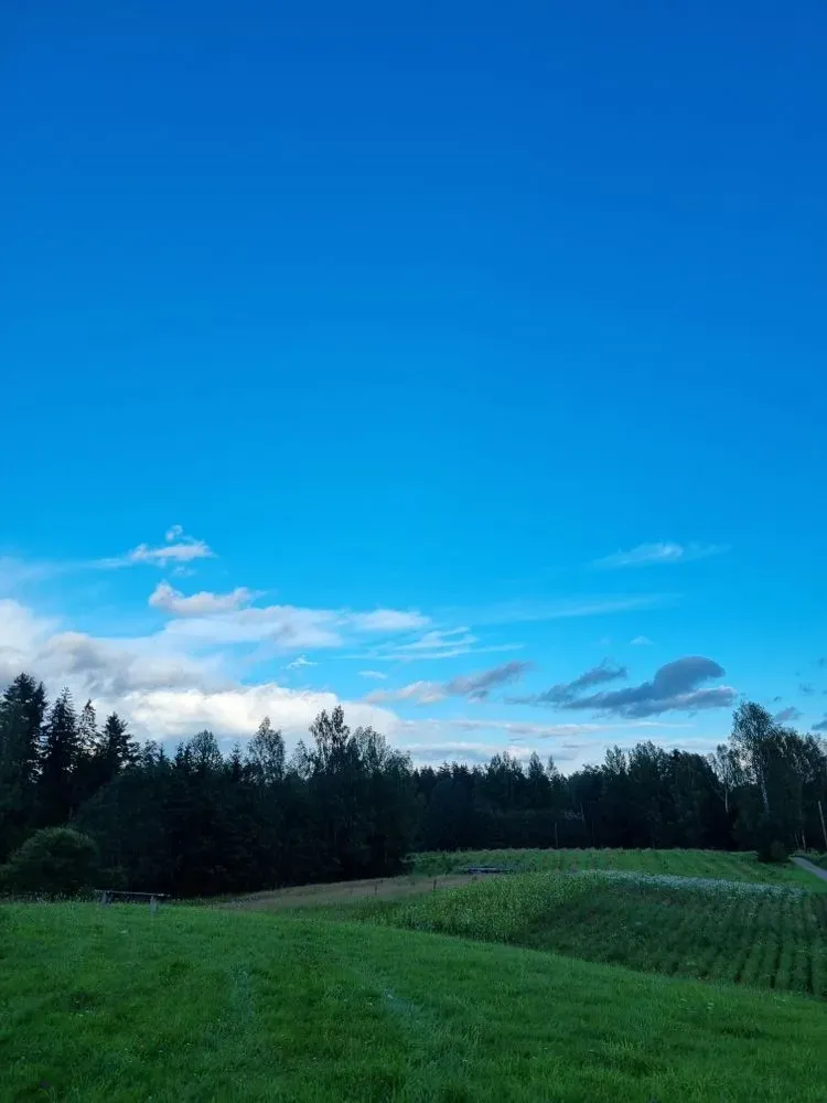 Album "Mina" artwork