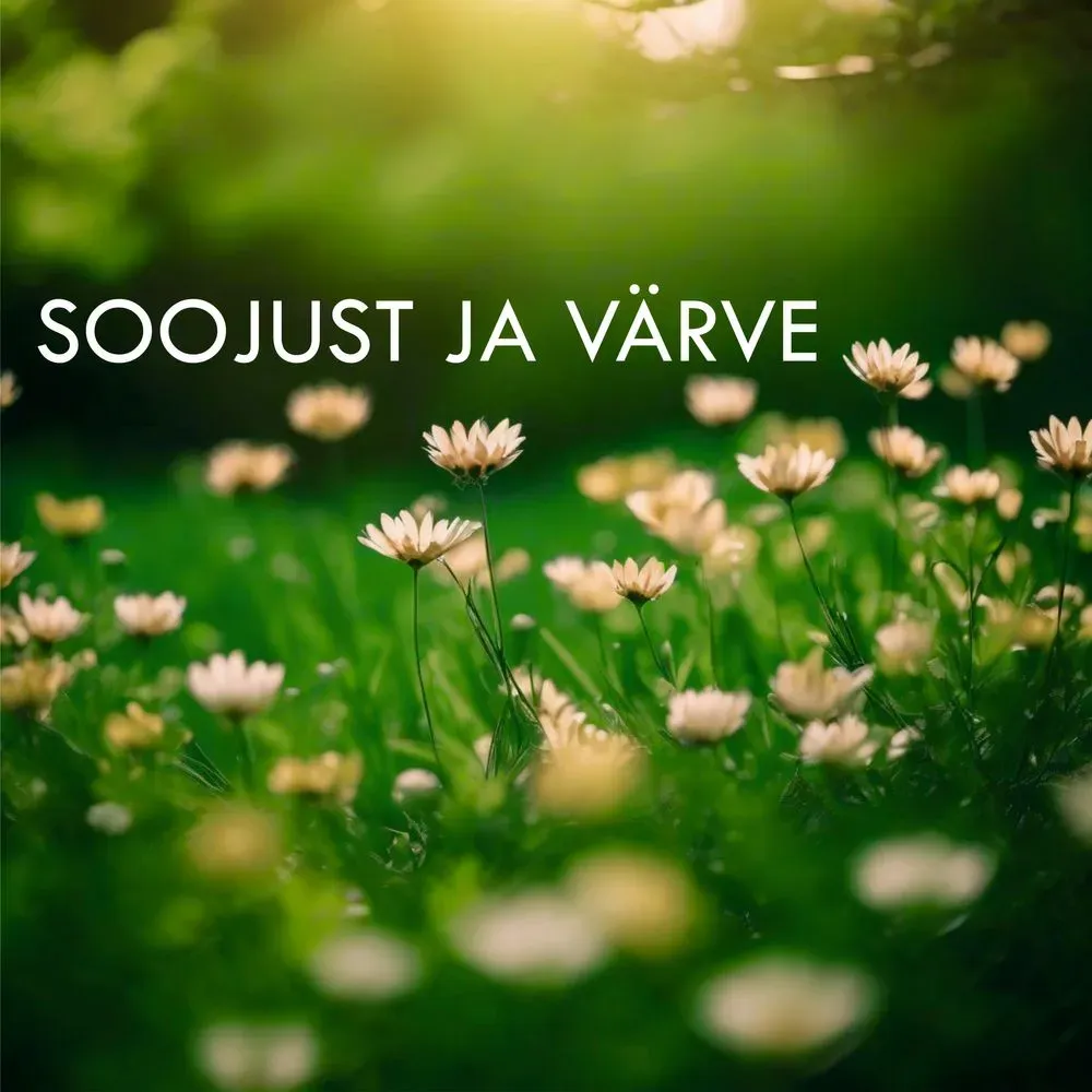 Album "Soojust ja värve" artwork