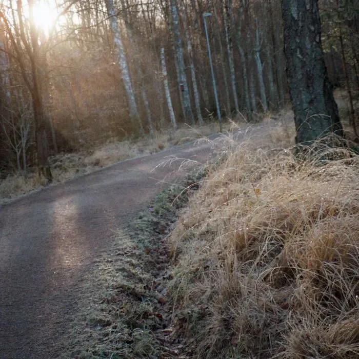 Album "Baśjanss" artwork