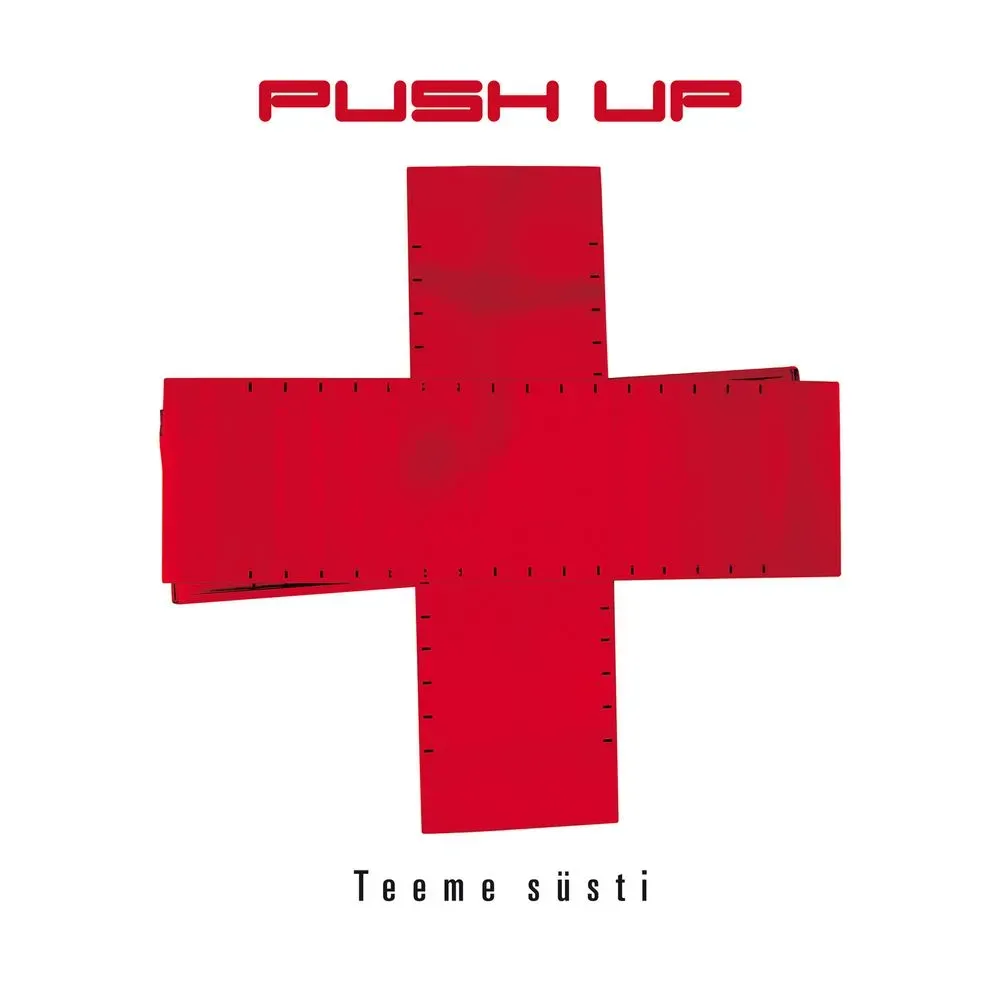 Album "Teeme süsti" artwork