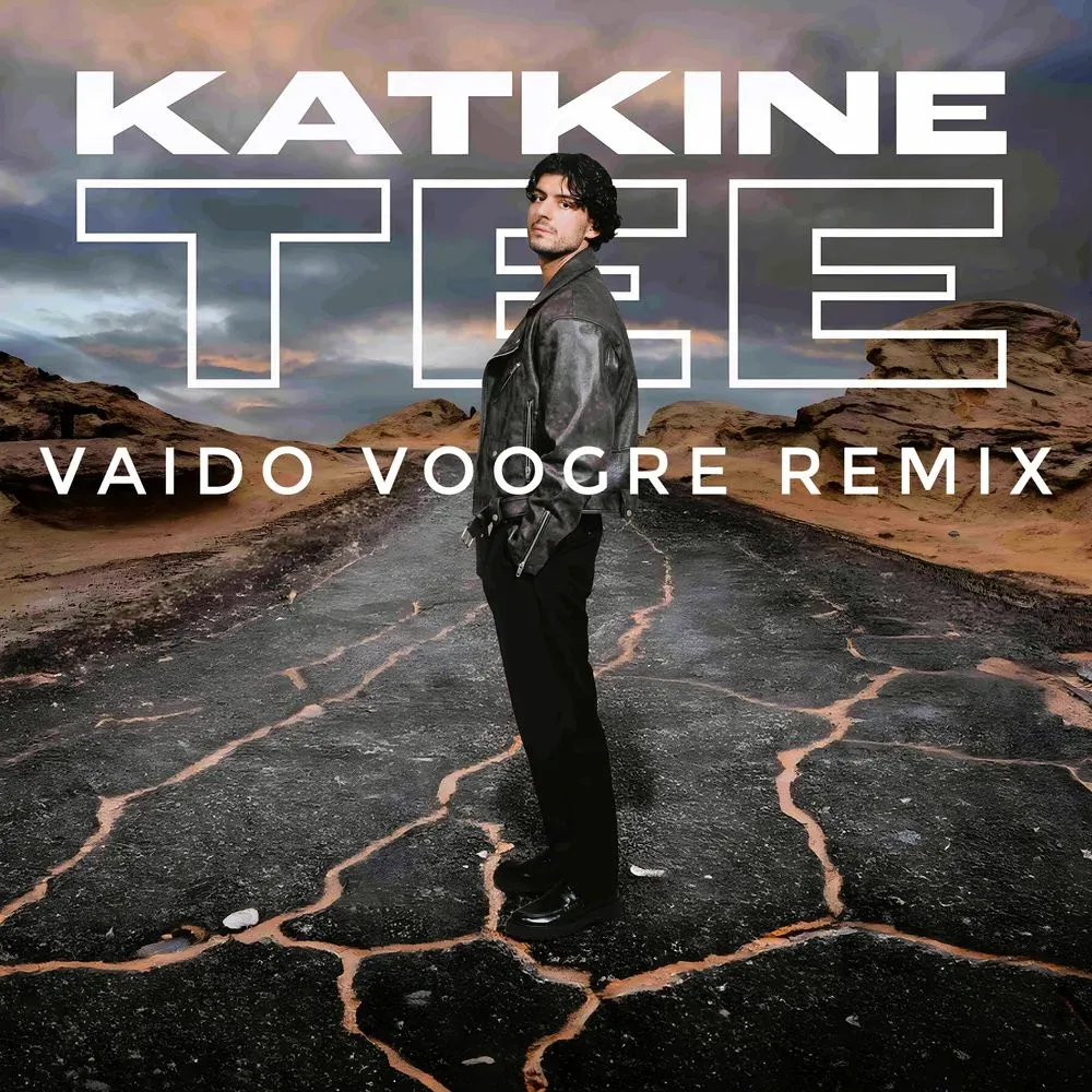 Album "Stefan - Katkine Tee (Vaido Voogre Remix)" artwork