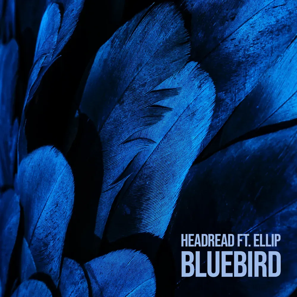 Album "HeadRead - Bluebird ft. ELLIP" artwork