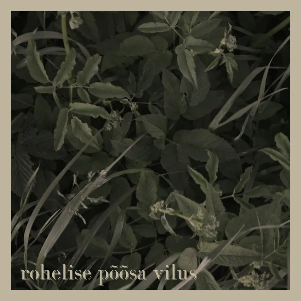 Album "Rohelise põõsa vilus" artwork