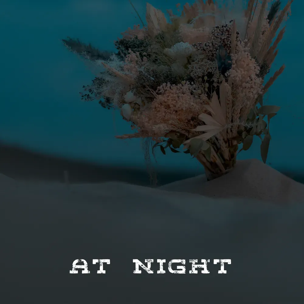 Album "At Night" artwork
