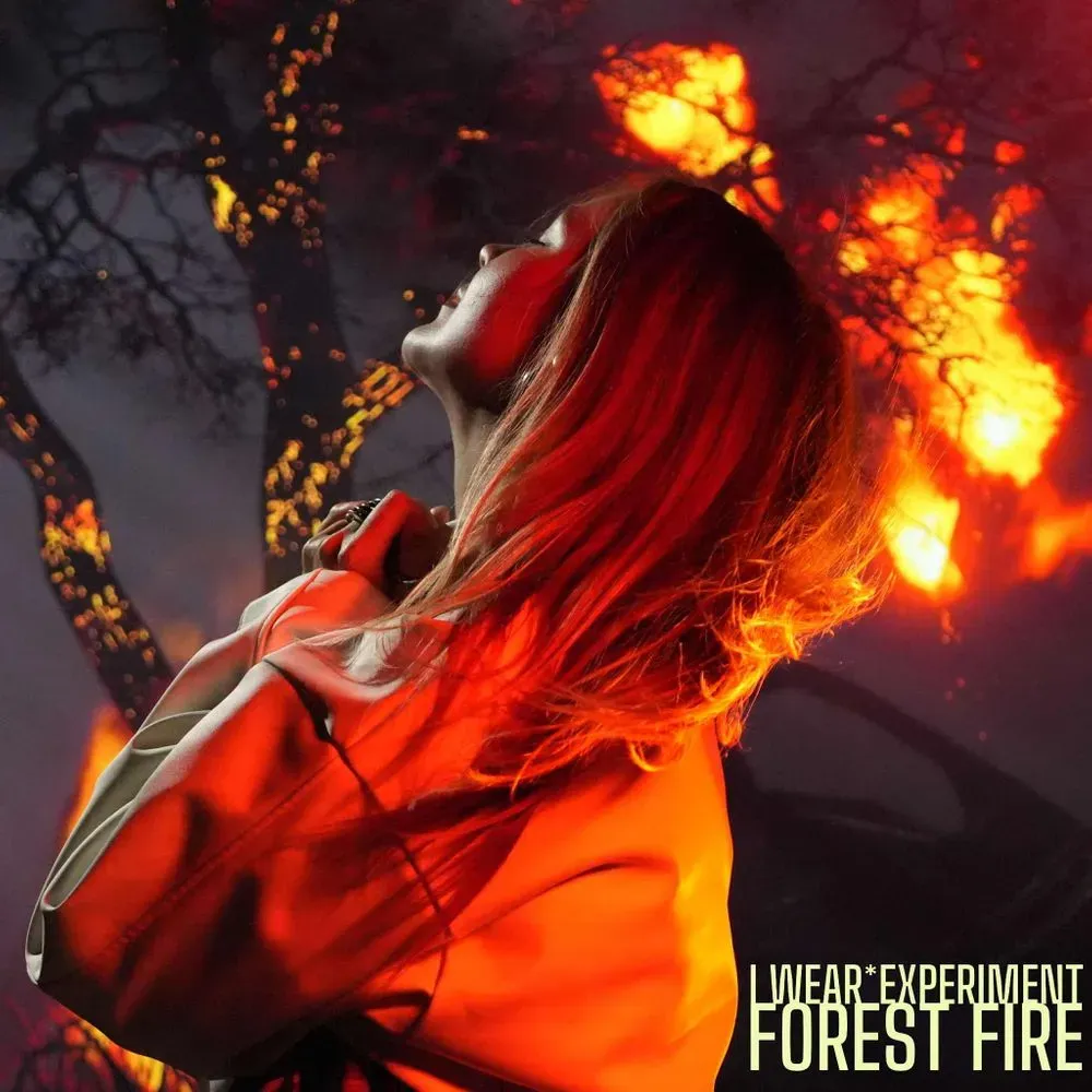 Album "Forest Fire" artwork