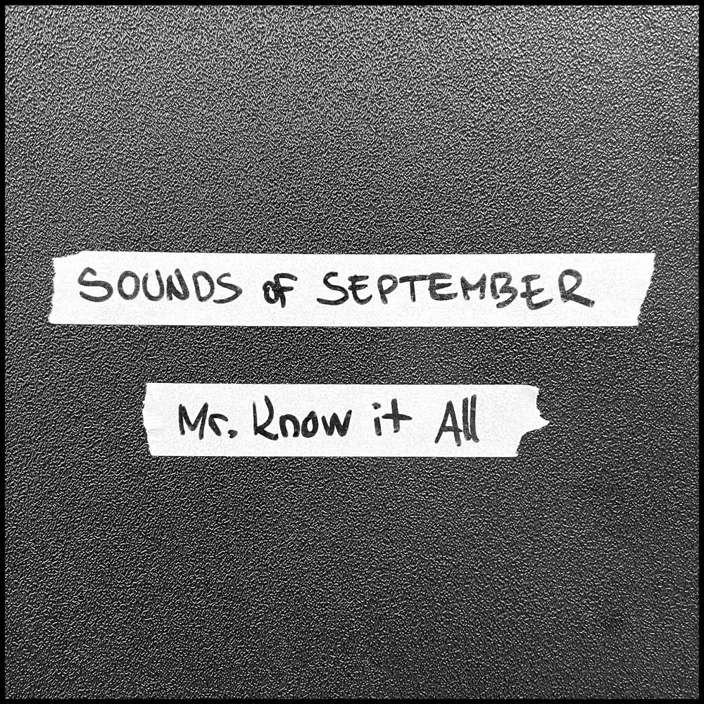 Album "Mr. Know it All" artwork