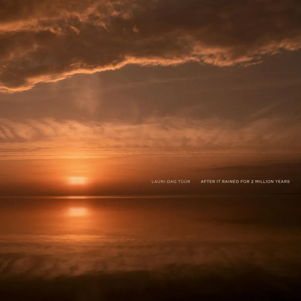 Album "After It Rained for 2 Million Years" artwork