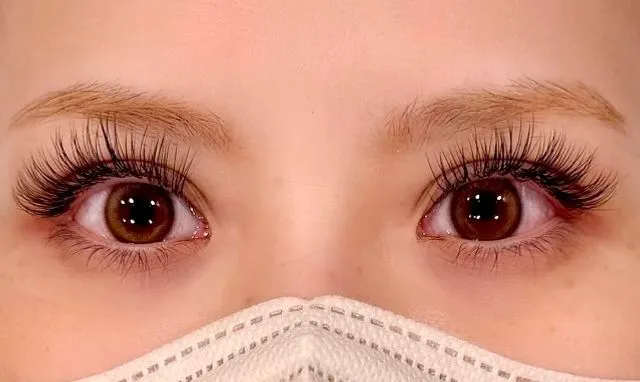 フラットラッシュ140本