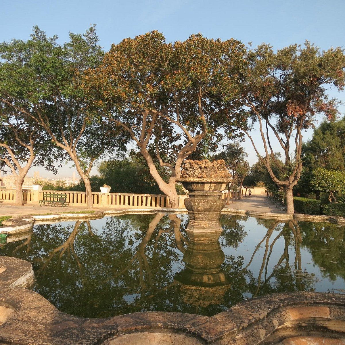 Argotti Botanical Gardens — photo 1