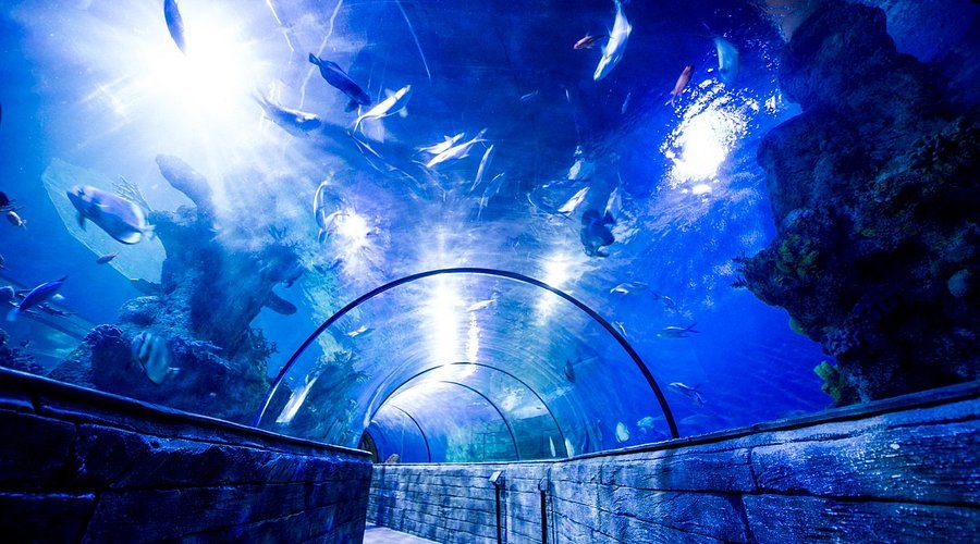 Malta National Aquarium — photo 2