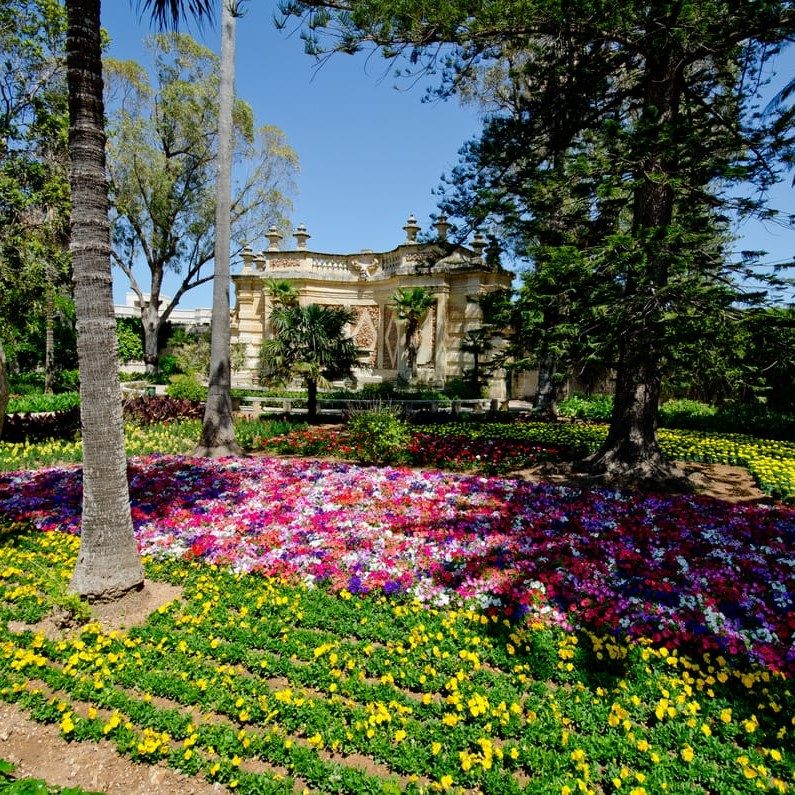 San Anton Gardens — photo 1