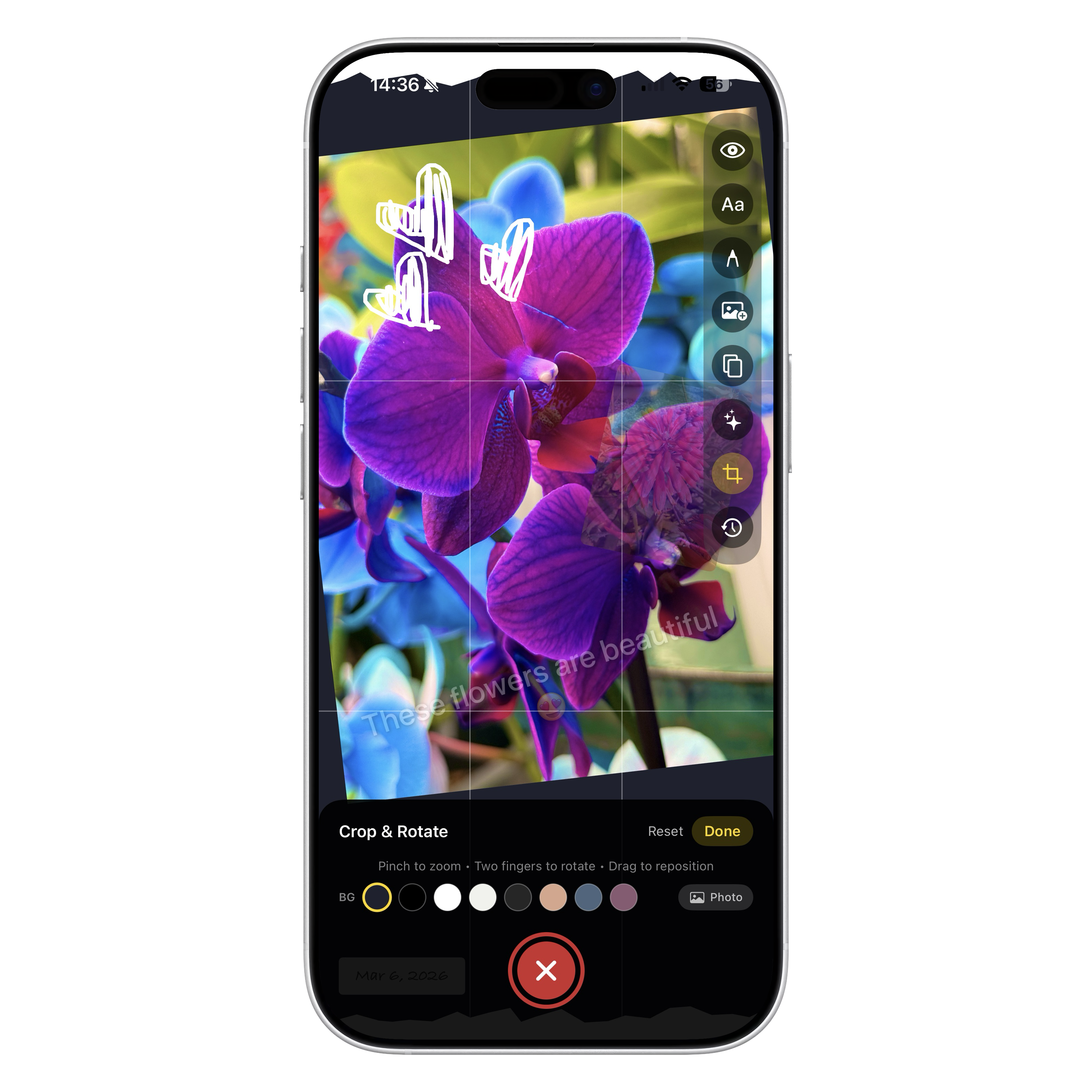 Crop and background color