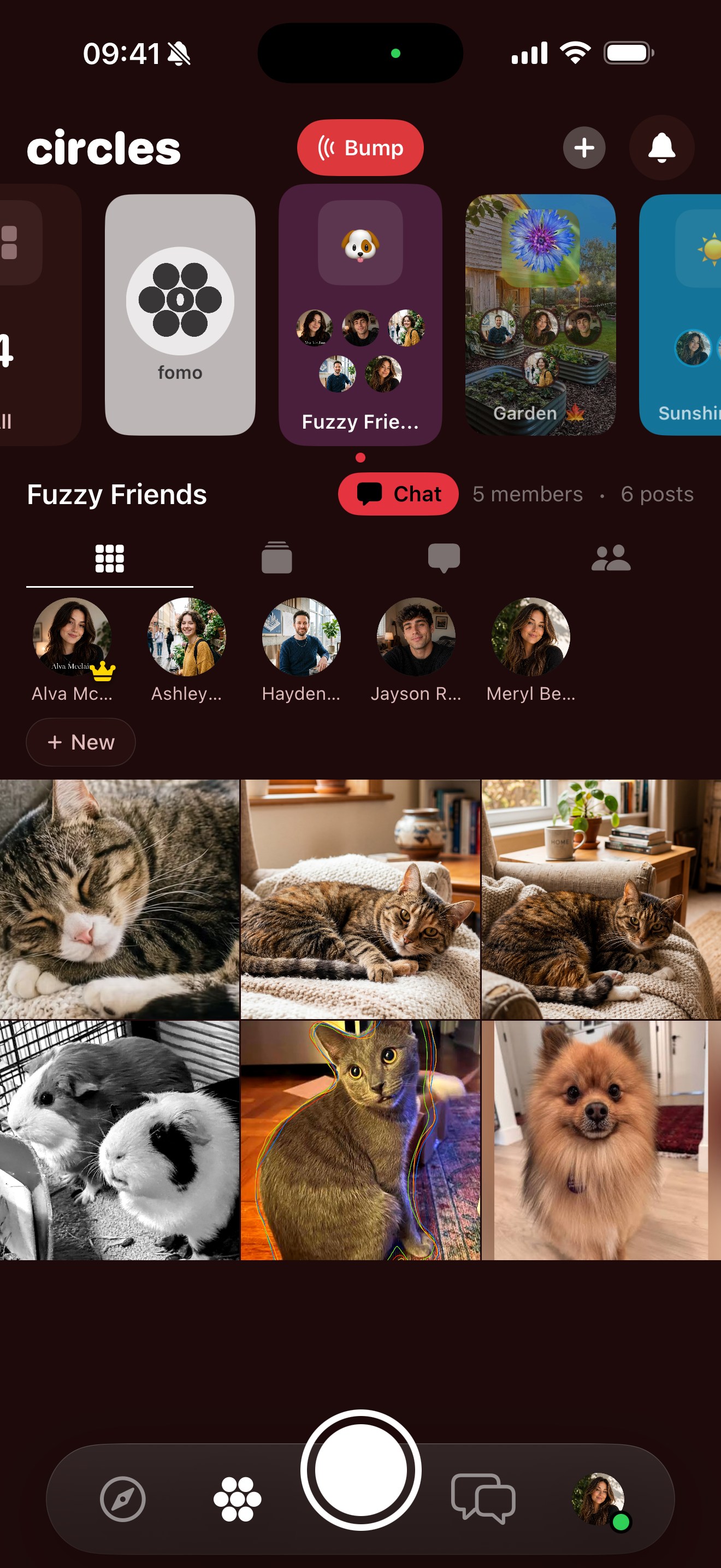 A circle's shared photo grid — 3-column grid of recent photos and videos