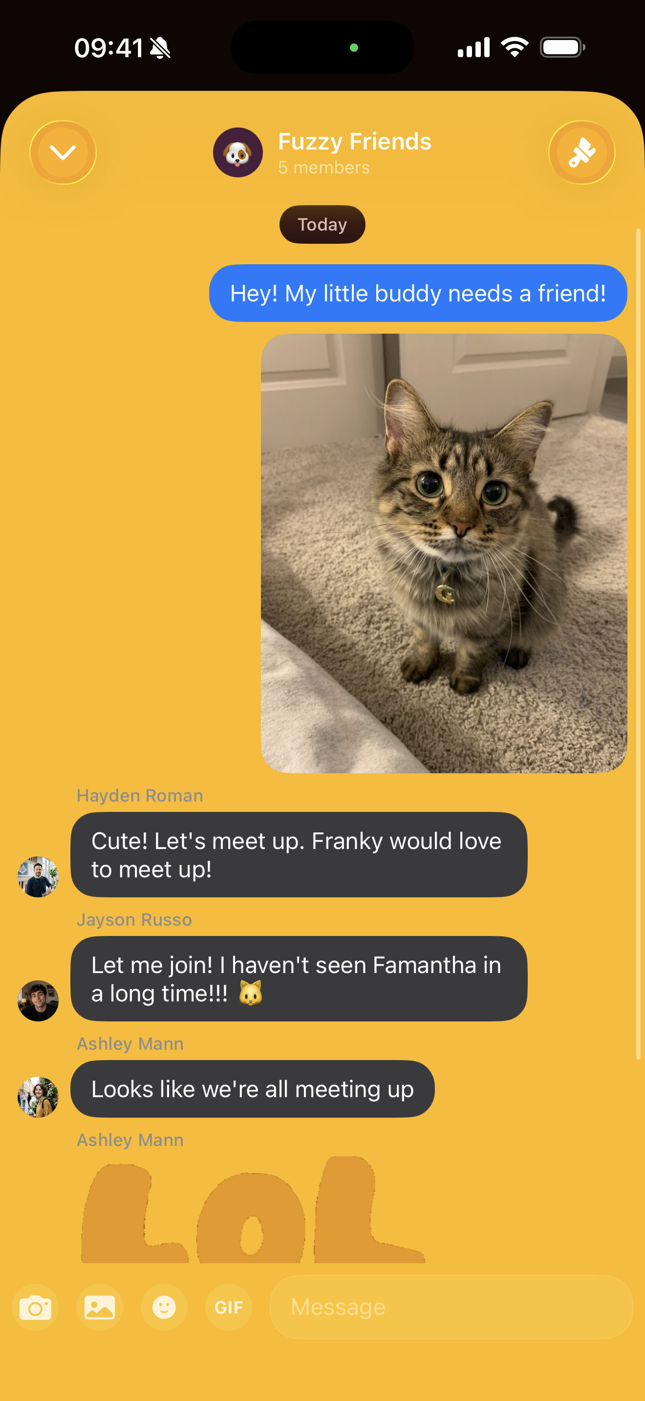 A circle's group chat — message bubbles with custom background and reactions