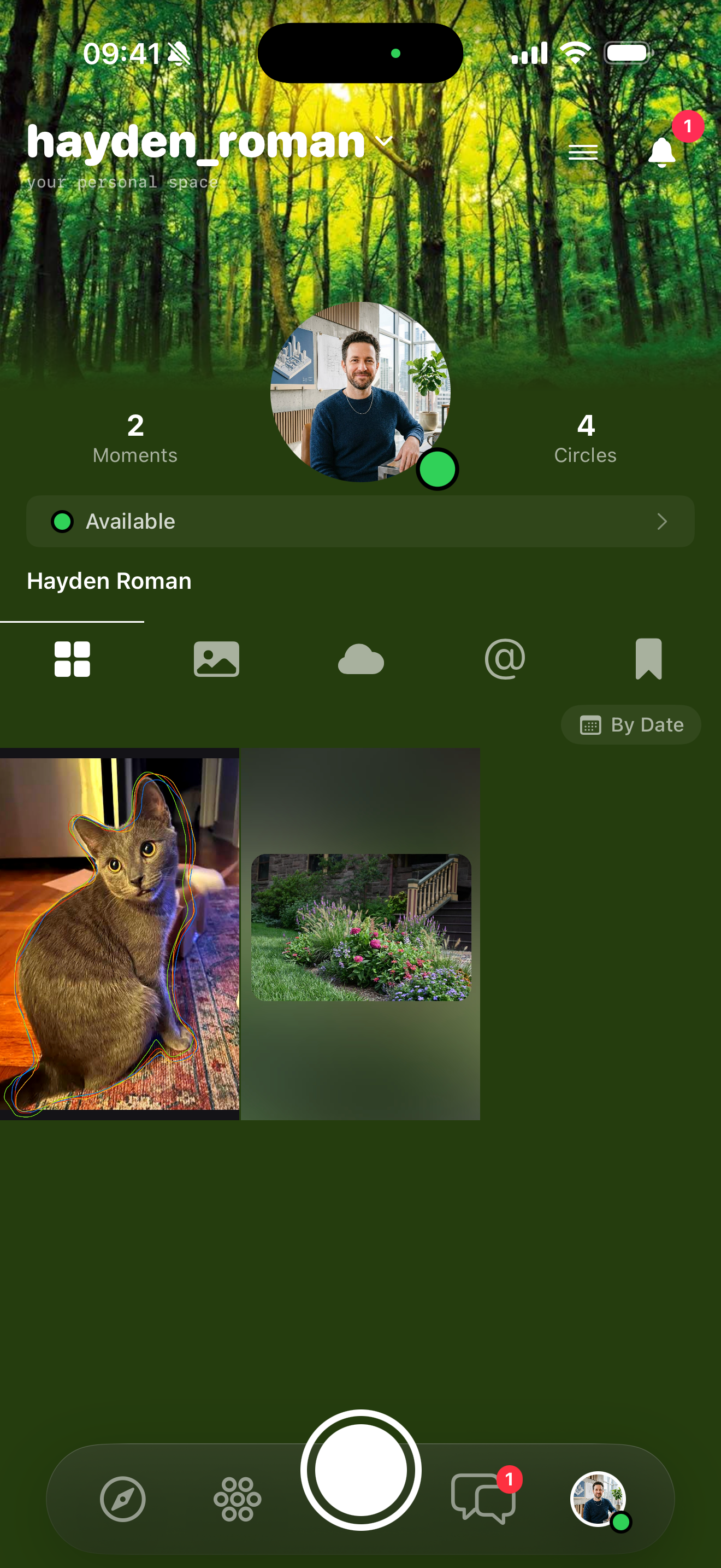 Forest theme