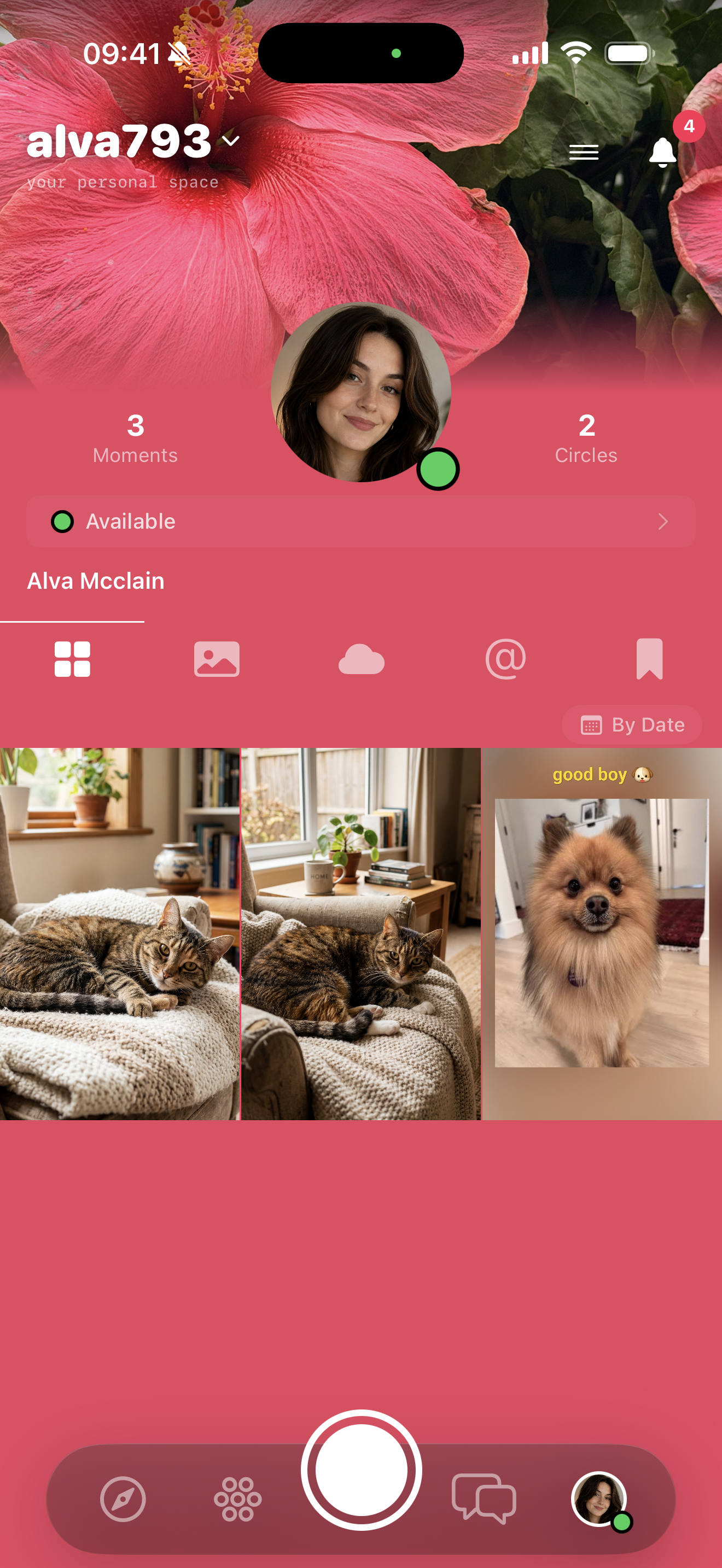 Hibiscus theme