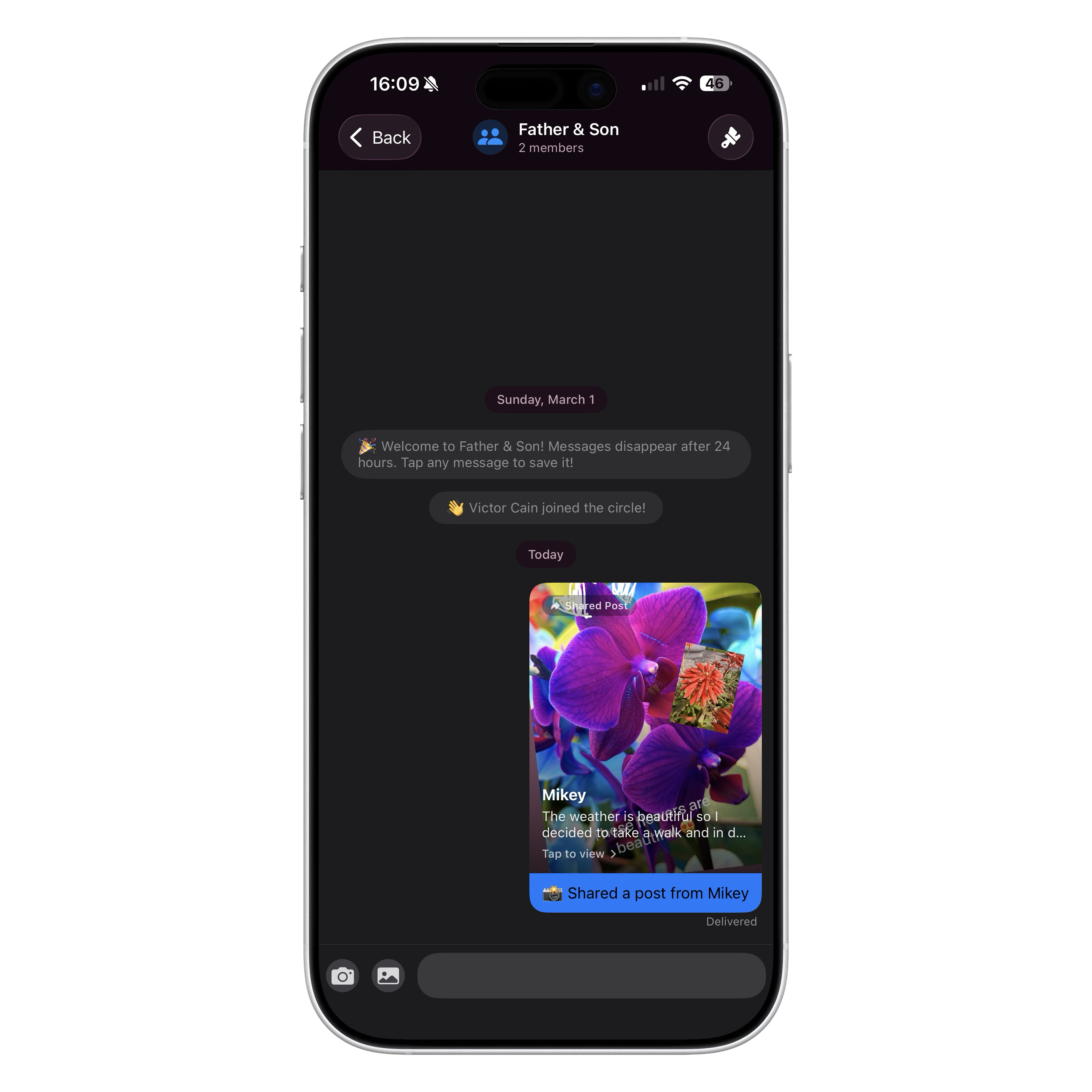 Share posts in messages