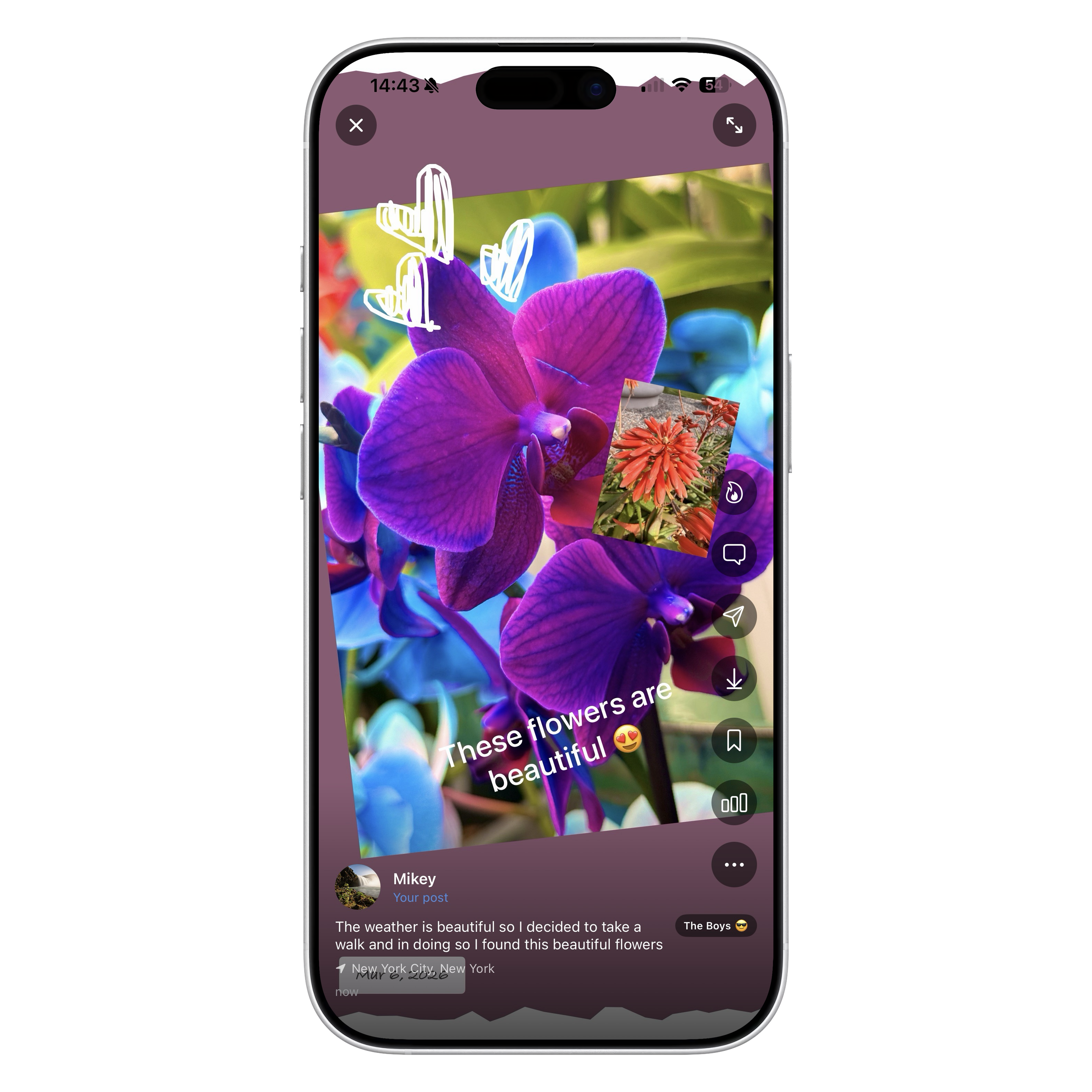 Full screen photo view