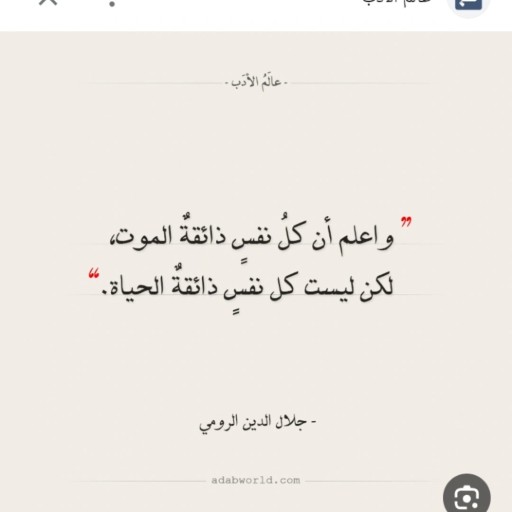 bassem