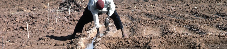 Моделирование глобального использования воды для орошения