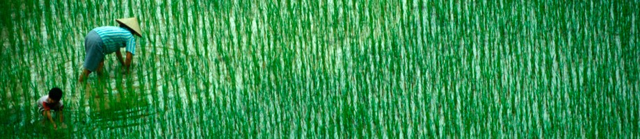 次国家灌溉数据