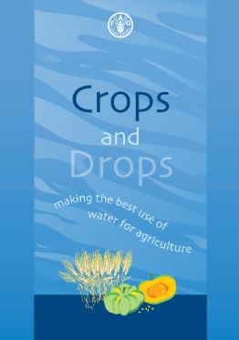 Crops and drops: making the best use of water for agriculture