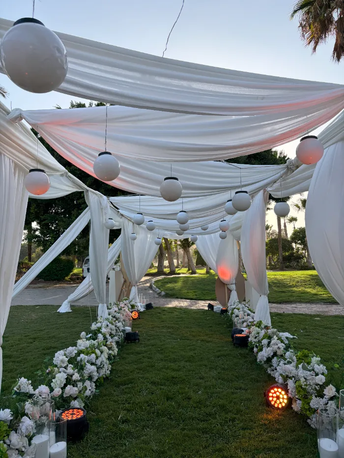 Gallery image 13