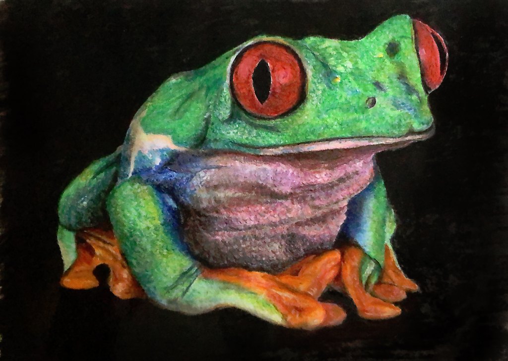 Frosch