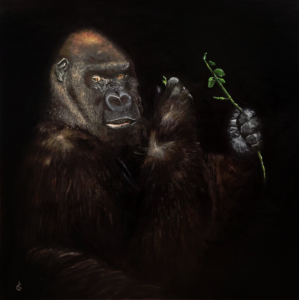 Gorilla
