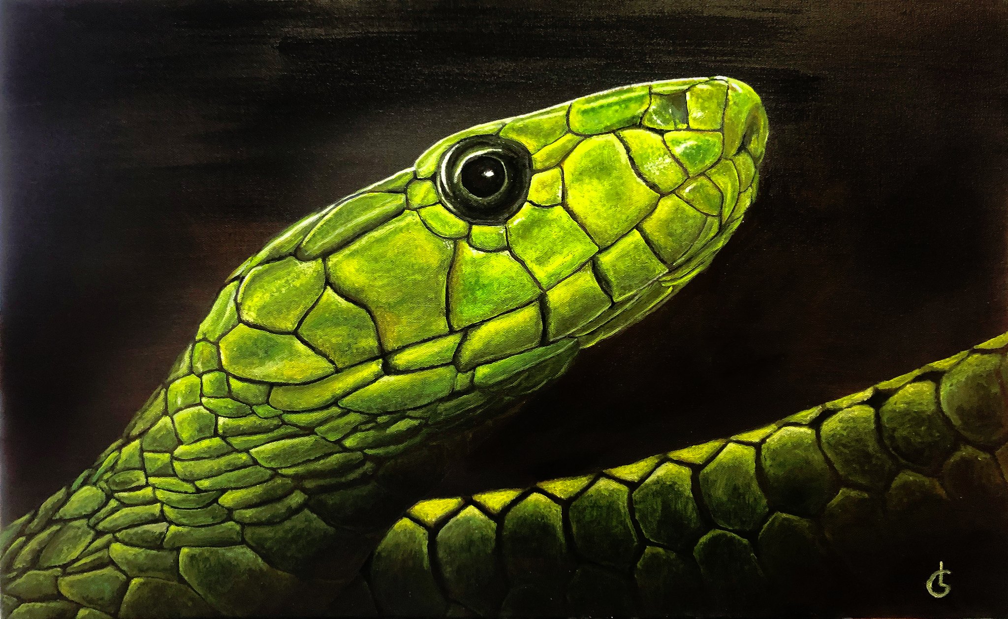 Grüne Mamba