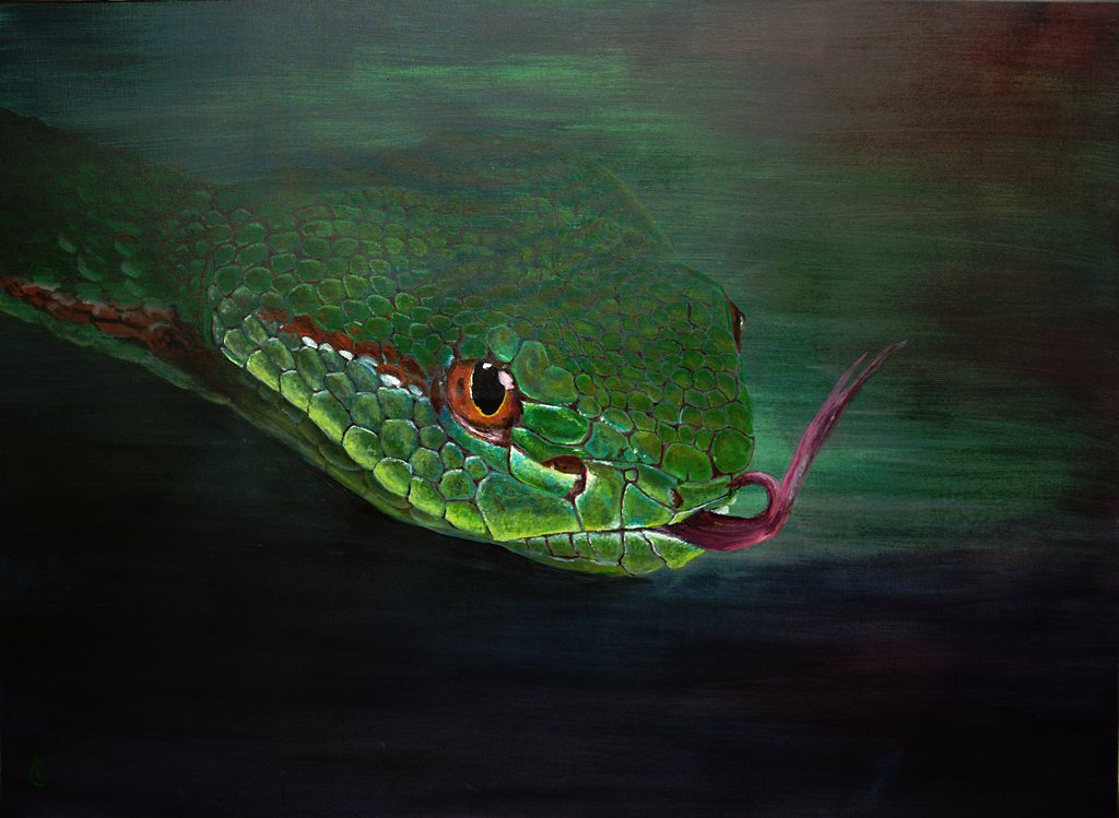 Gumprechts Viper