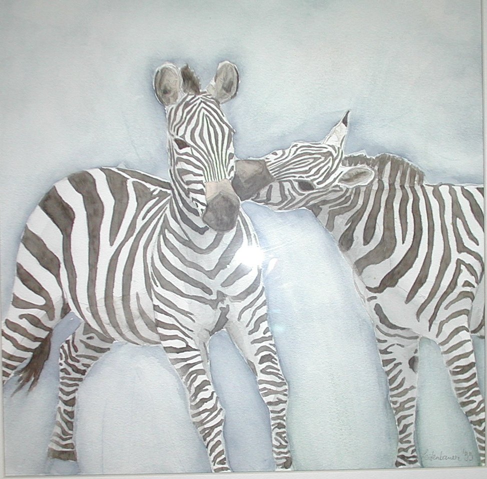 Kissing Zebras