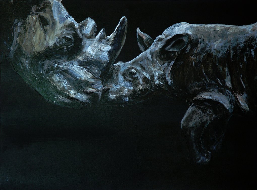 Rhino Love